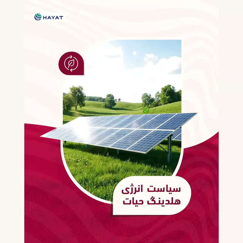 Hayat energy policy